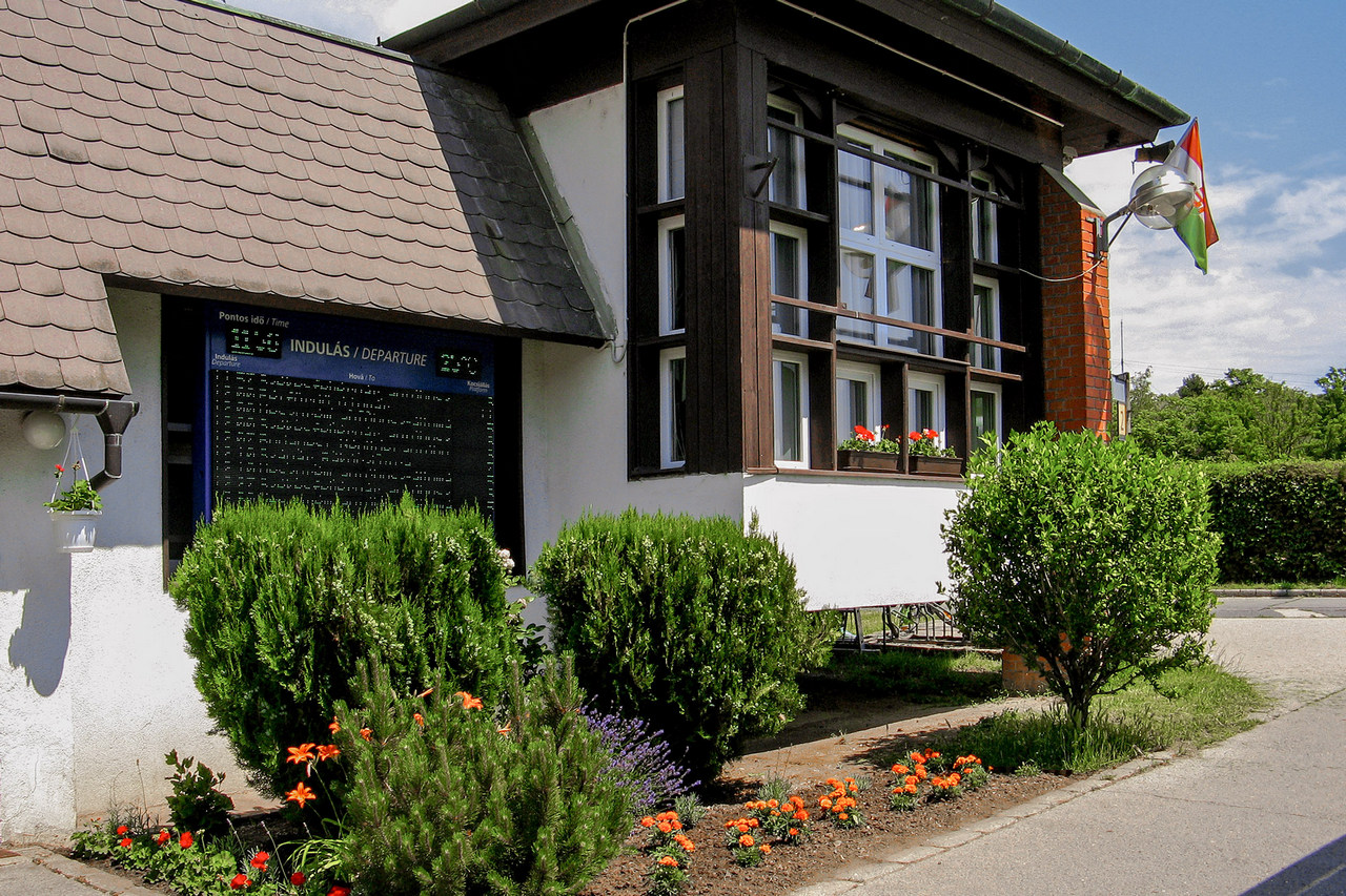 Volanbusz viragositas Varpalota