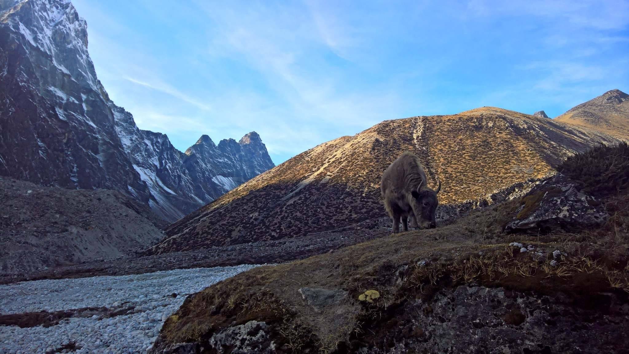 24208766 737891069738241 1903661669 o