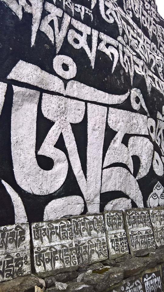 24282296 737892433071438 318328921 n