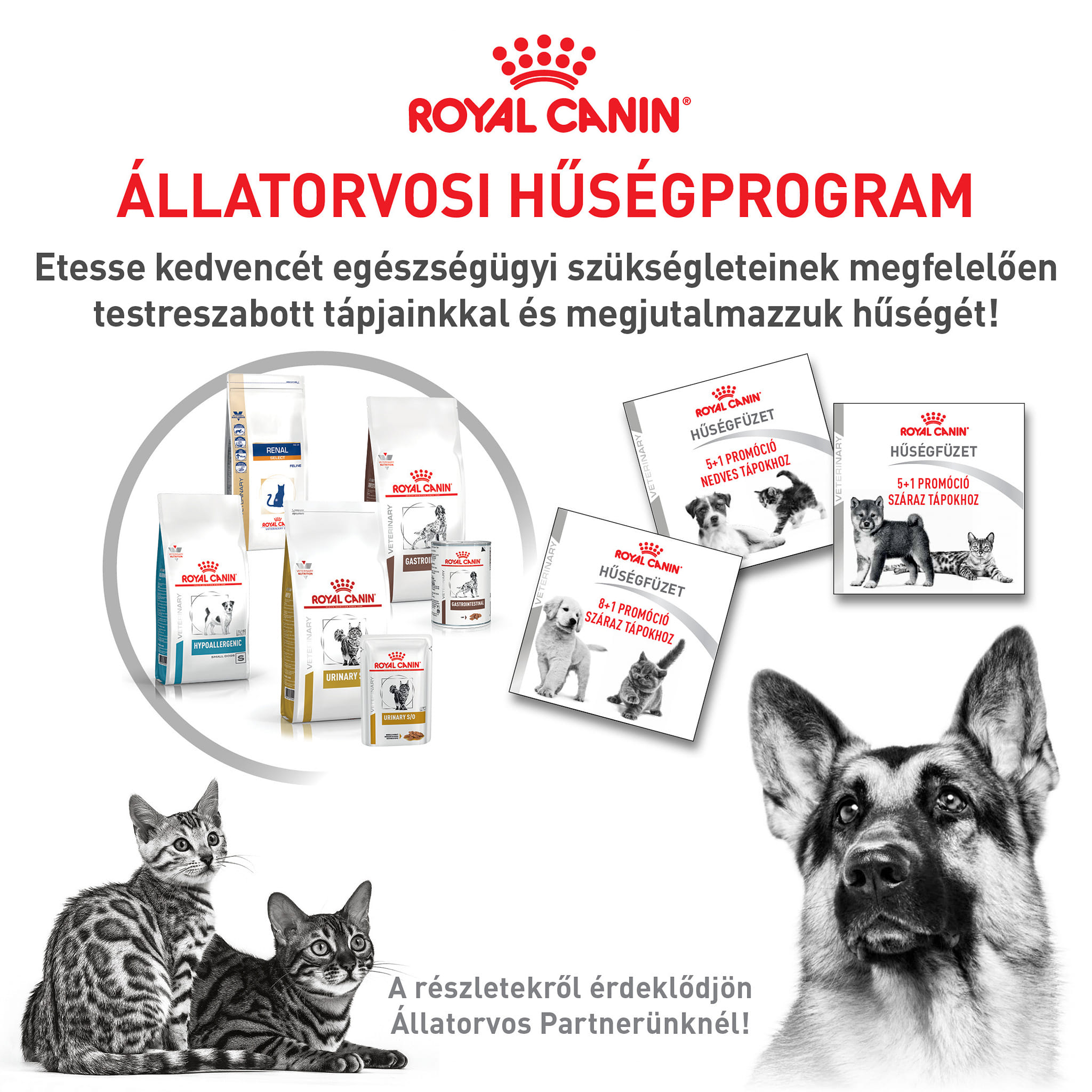 Berettyó állatpatika és petshop 01