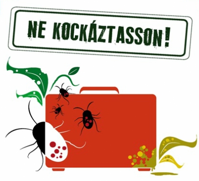 Xylellap közleményhez