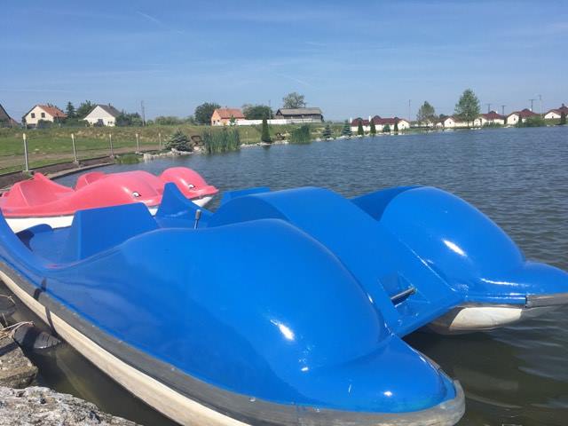 18555311 1501567736541180 2039972275 n