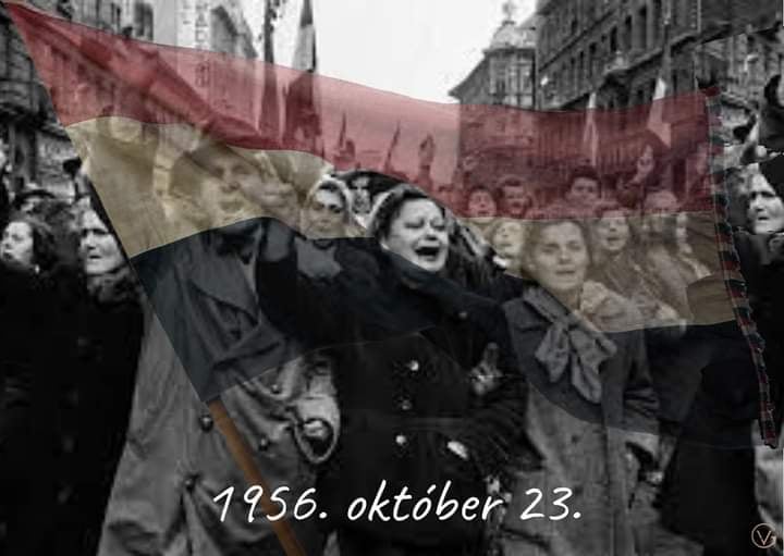 Zsoldos Sámuel megrázó története 08