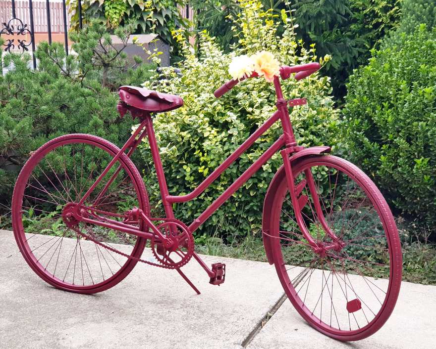 Kertszépségverseny 01