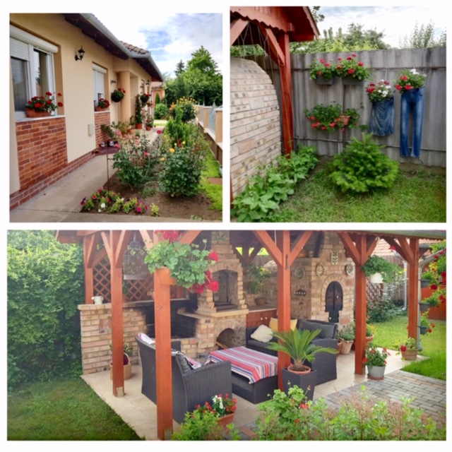 Kertszépségverseny 03