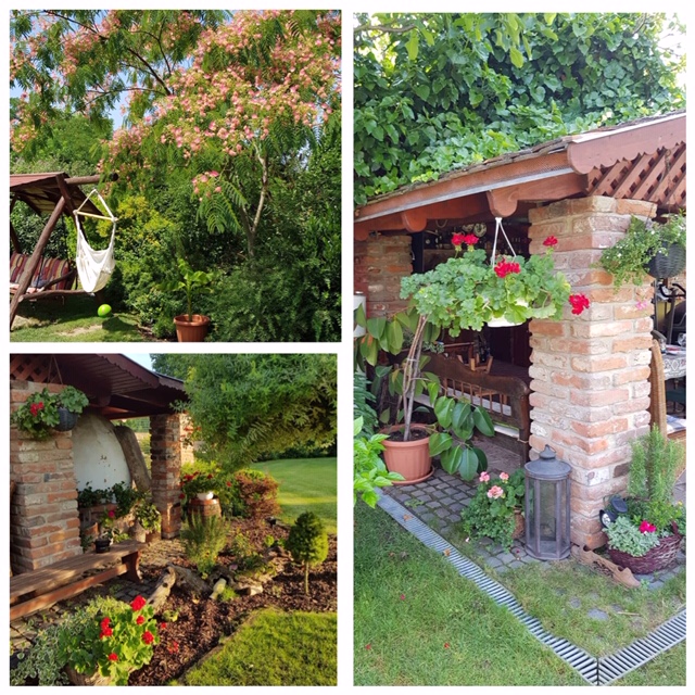 Kertszépségverseny 05