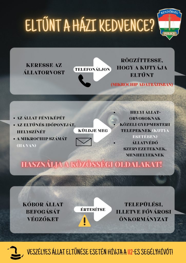 Eltunt page 0001 724x1024